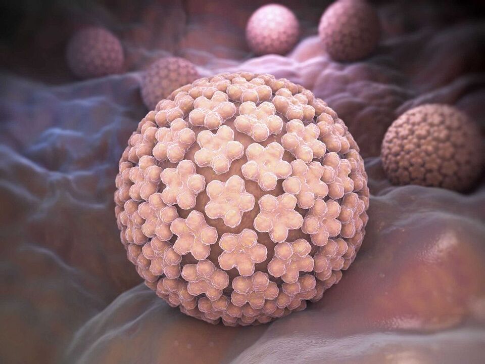 cauzele HPV